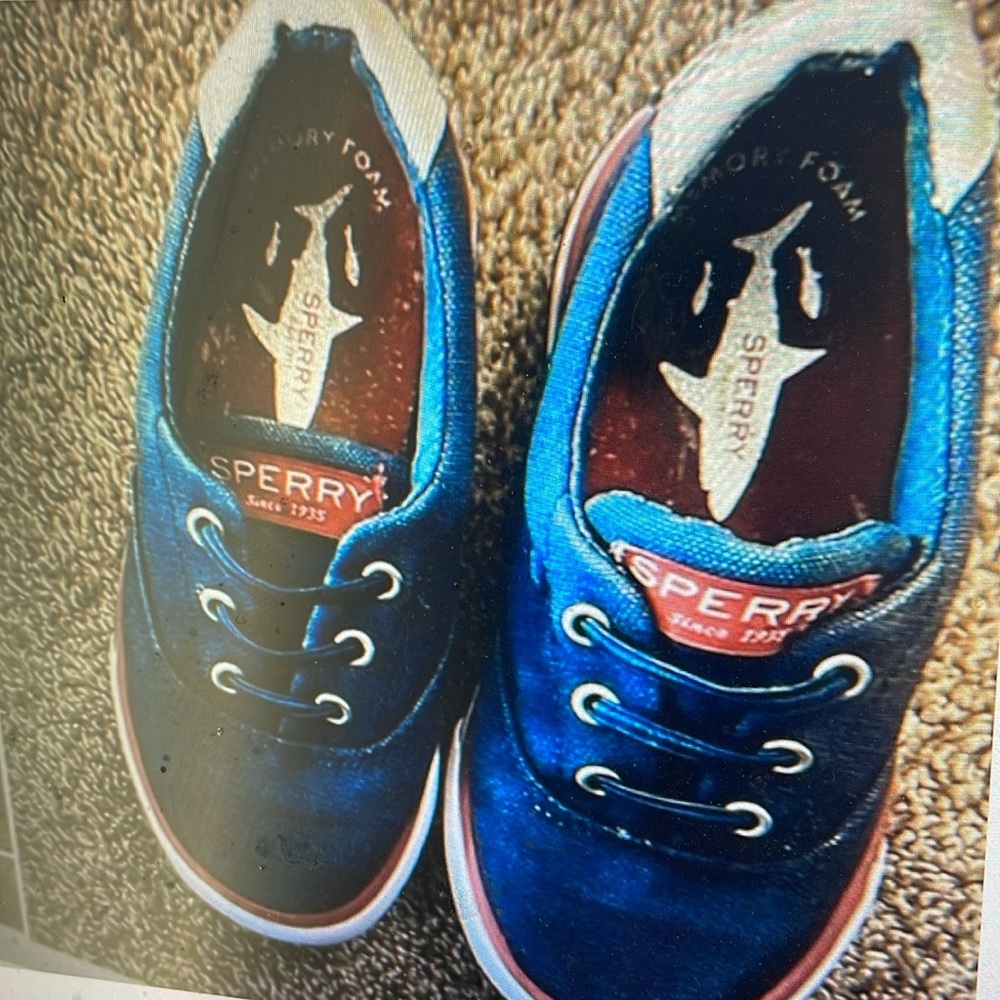 Sperry Navy Blue Canvas boat shoes 10